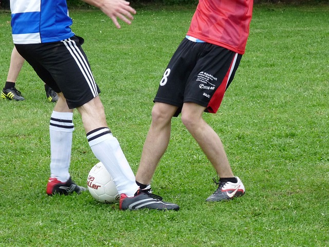 新一代的冰 新一代的冰